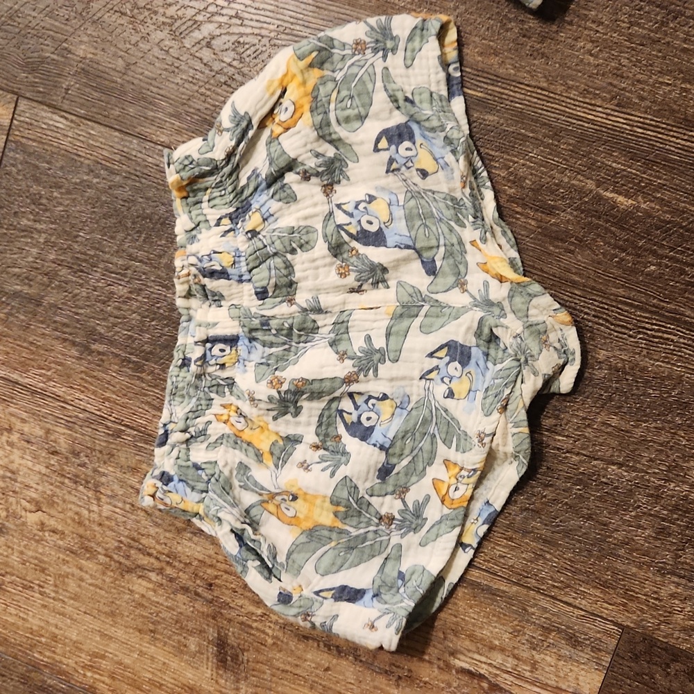 Bluey Ruffle Top With Matching Shorts - Picture 5 of 6